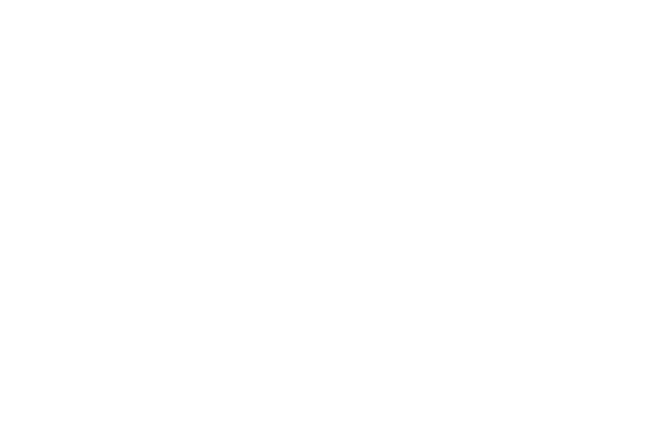 Layrite Deluxe